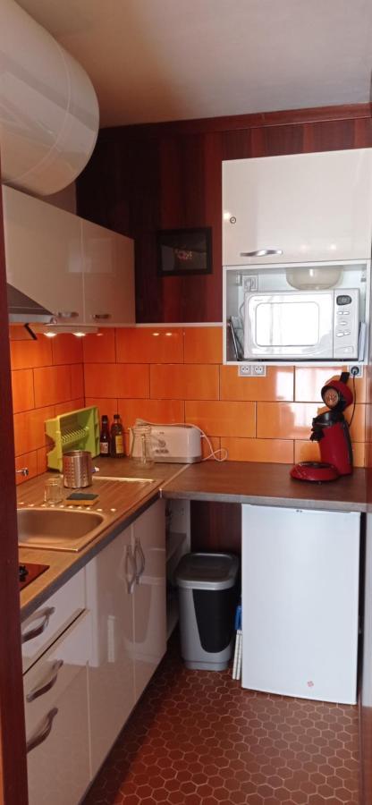 Appartement St Lary Soulan Pied Des Pistes サン・ラリー・スラン エクステリア 写真